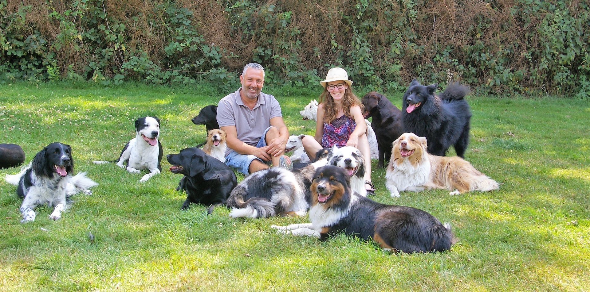 Revier für Hunde Die natürliche und artgerechte Betreuung